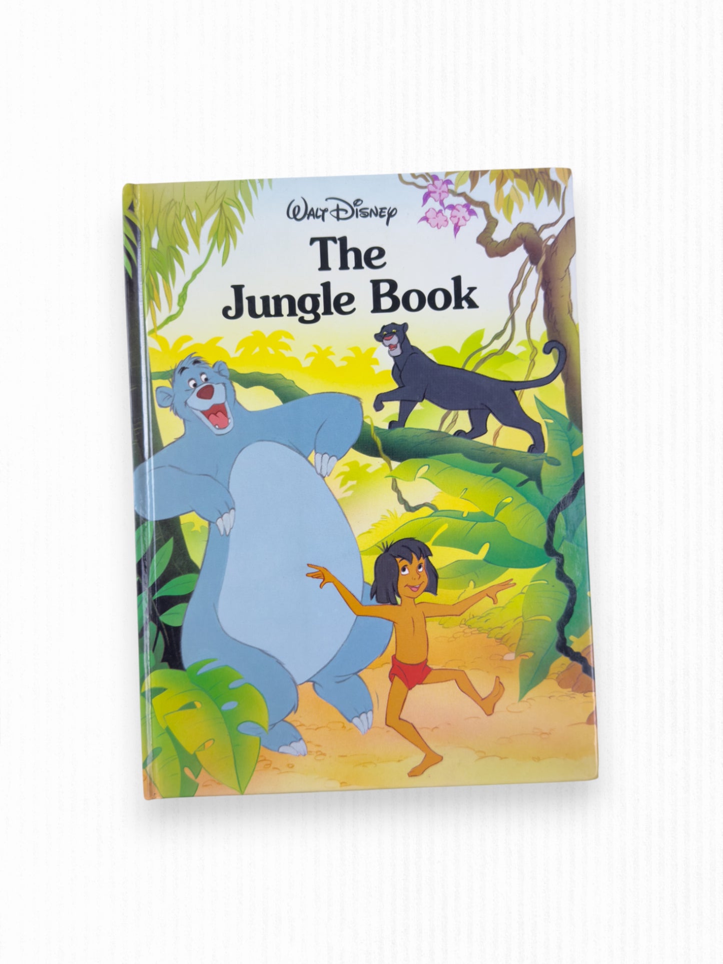 WALT DISNEY LARGE CLASSICS