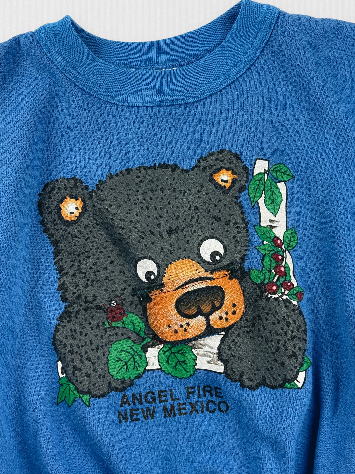 VINTAGE BEAR SWEATSHIRT - 6X