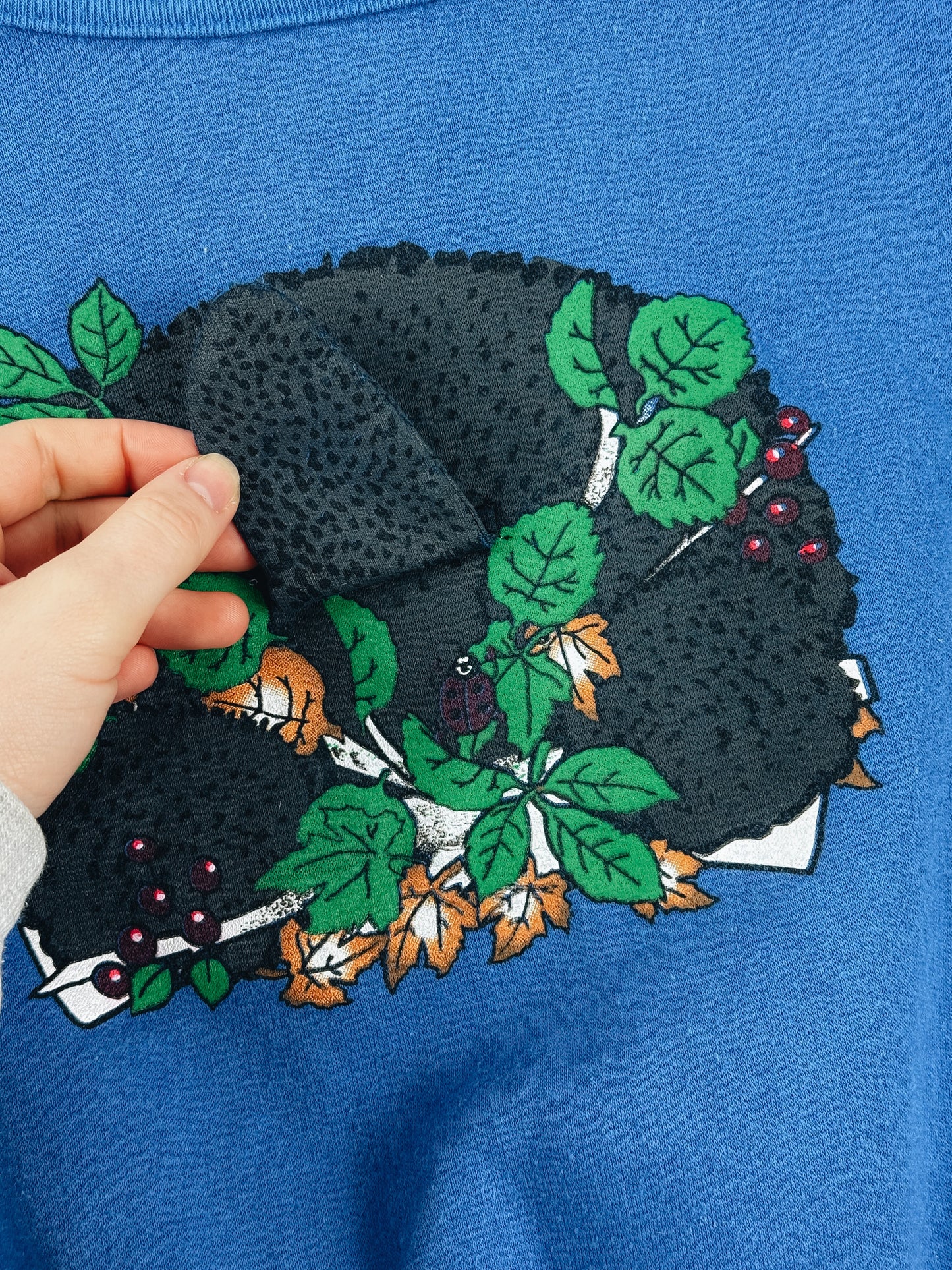 VINTAGE BEAR SWEATSHIRT - 6X