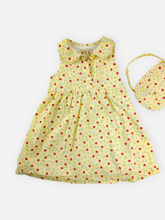 VINTAGE LADYBUG DRESS SET - 24M